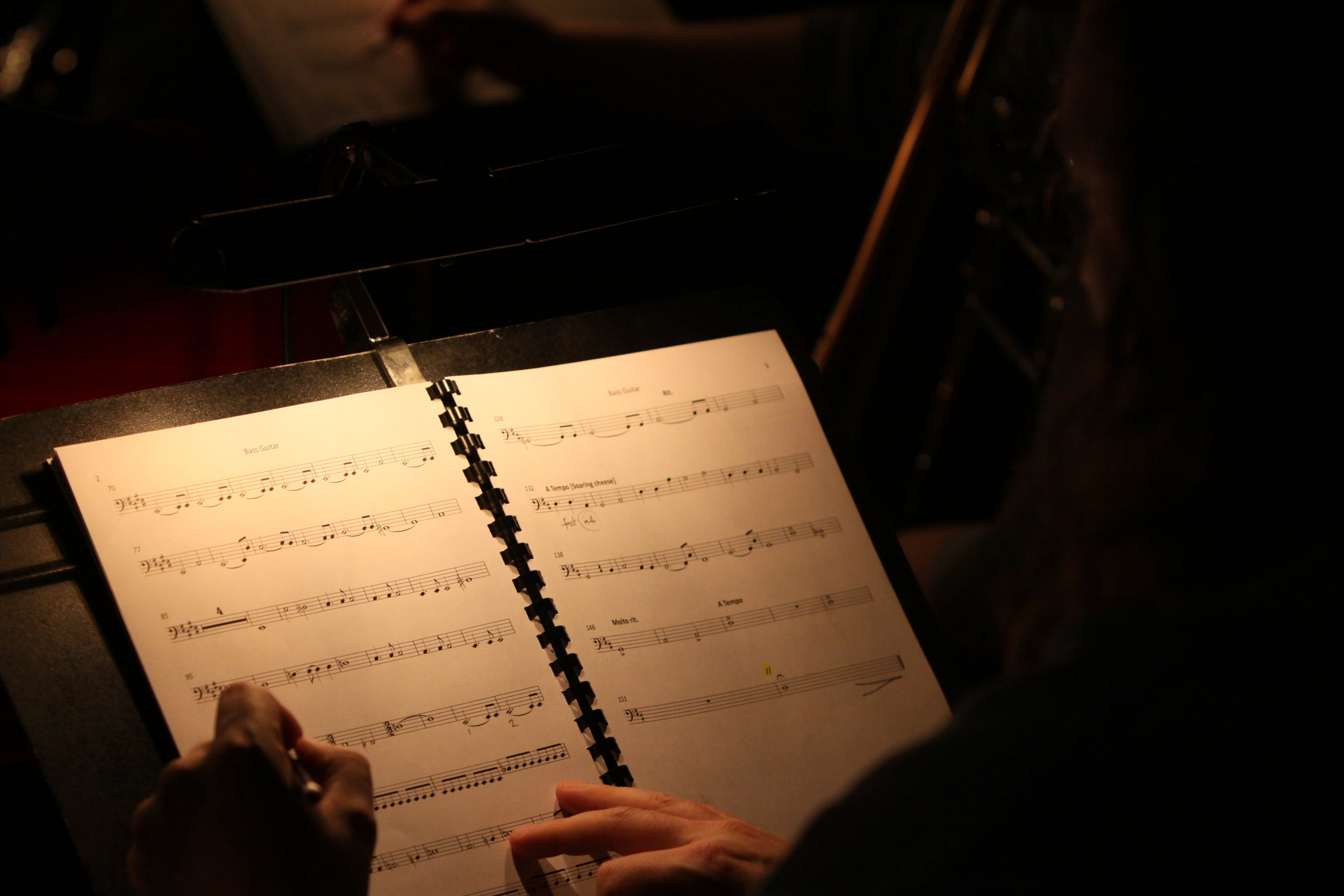 The Forbidden Fruit orchestra, Brighton Festival, Brighton Dome, composed by Jude Obermüller (photo by Sarah Sutherland-Rowe)