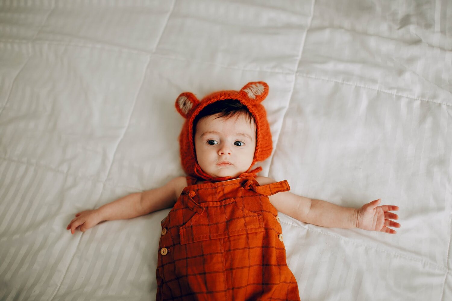 Leap 6 The World Of Categories Your Baby S Sleep Well Rested Baby