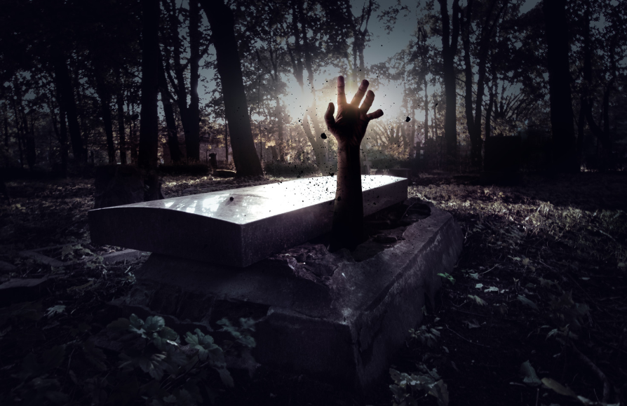 I’m Still Alive, Why Do You Ask?