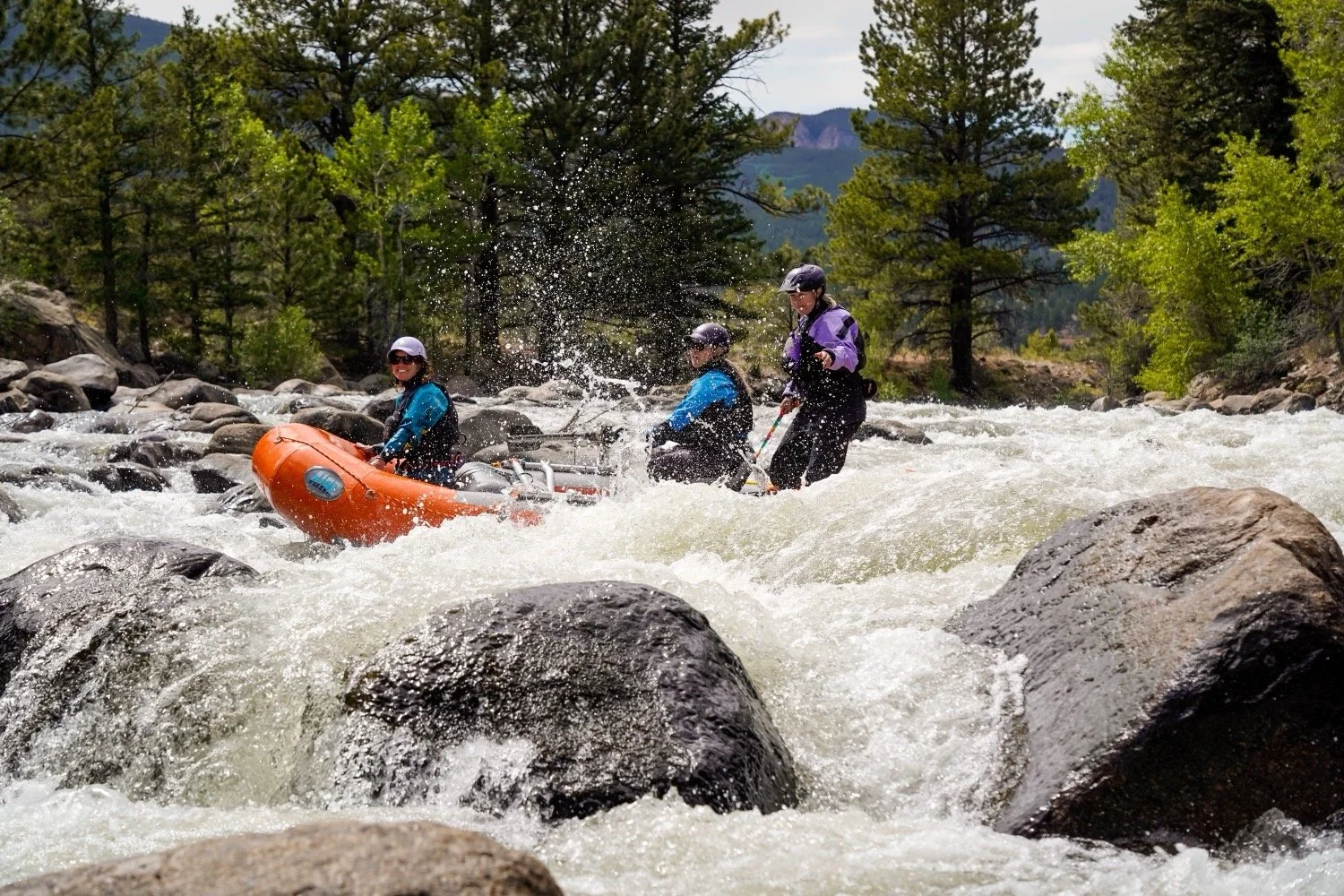 Raft in Numbers-10 copy.jpg