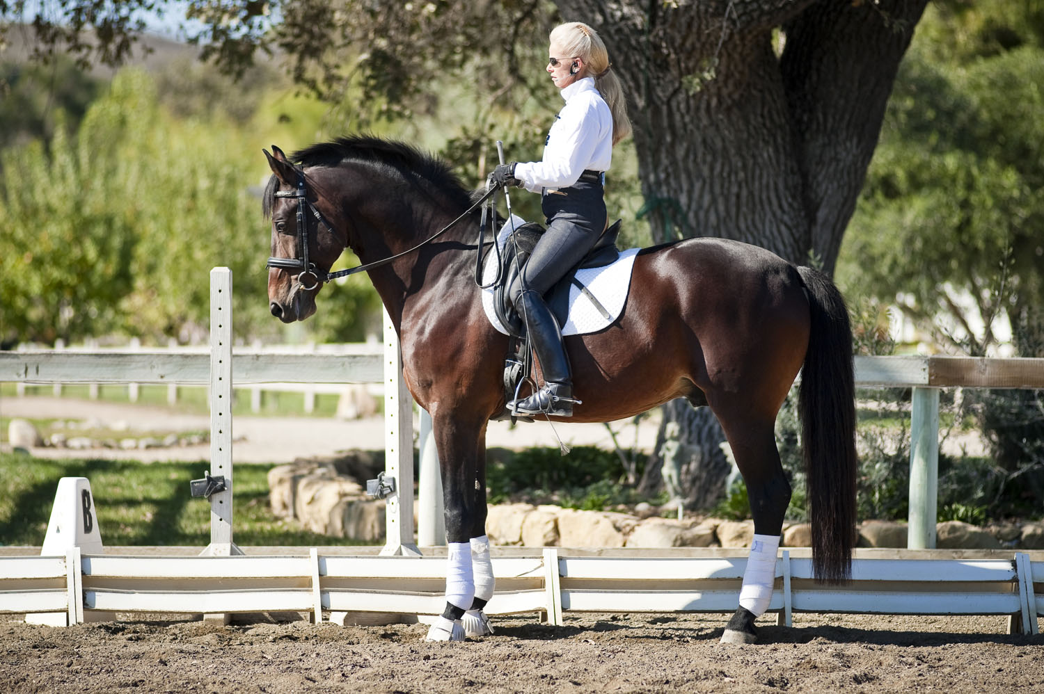 Lafayette Lord with Alix in a lesson.