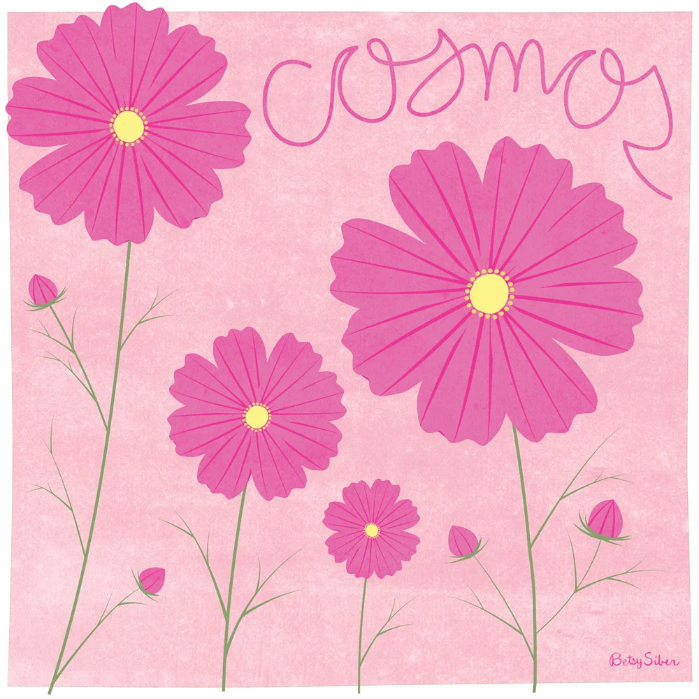 Cosmos