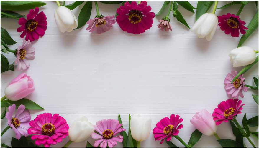 Screenshot 2026-04-07 at 9.37.50 AM.png