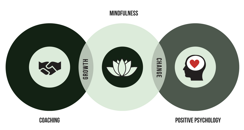 Our approach_Sprout 7.png