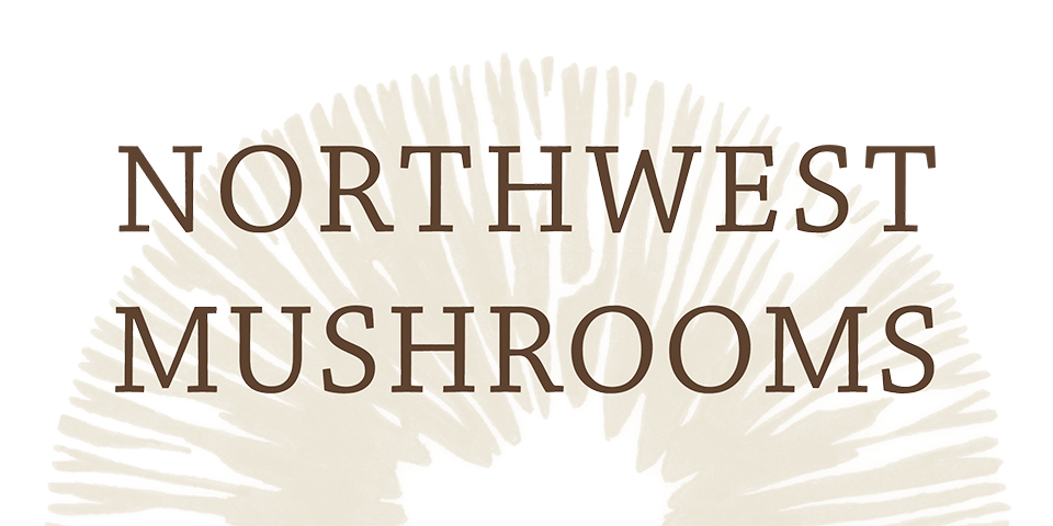 NWM_Image_16.png