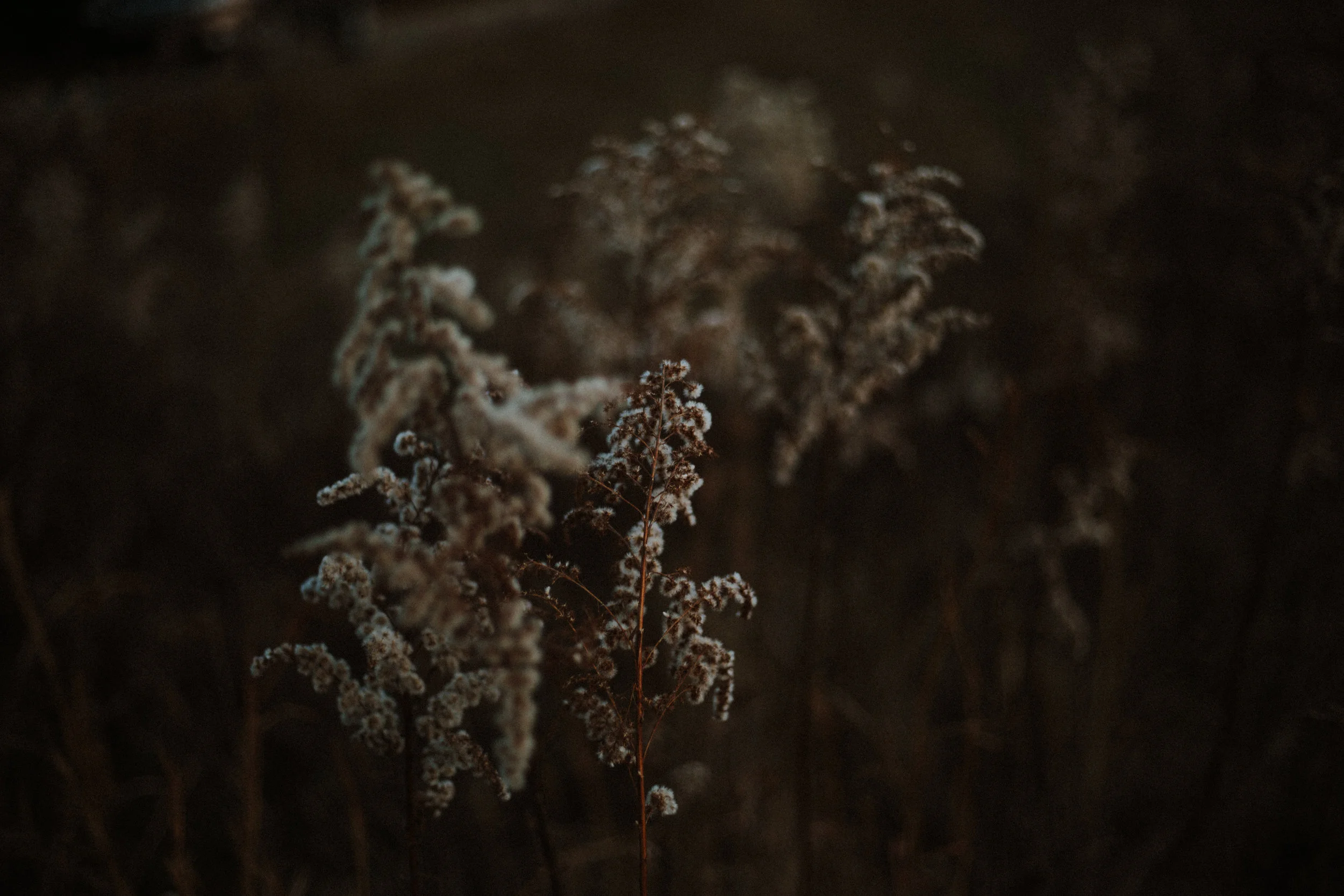 030A8372.jpg