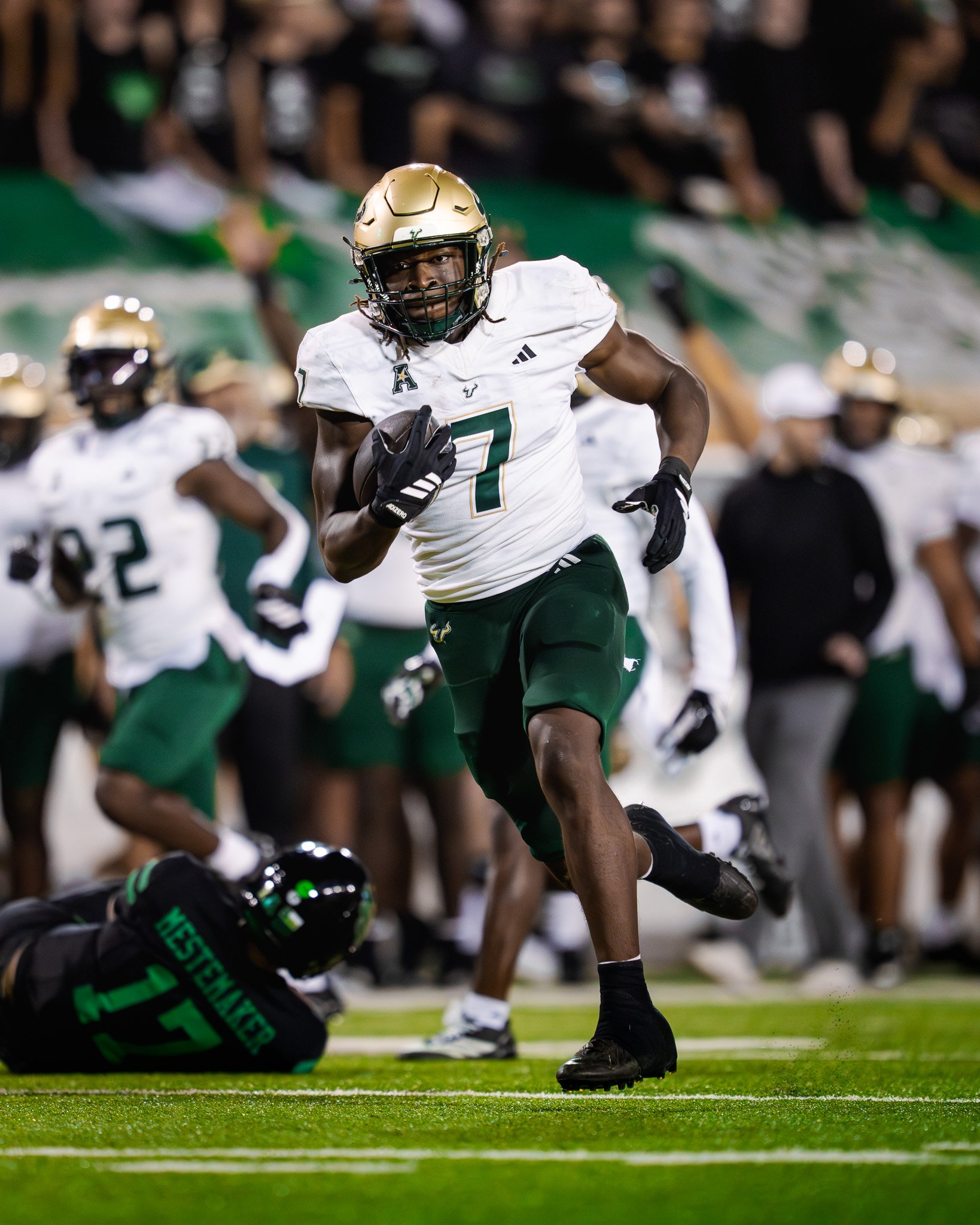 USF00991.jpg