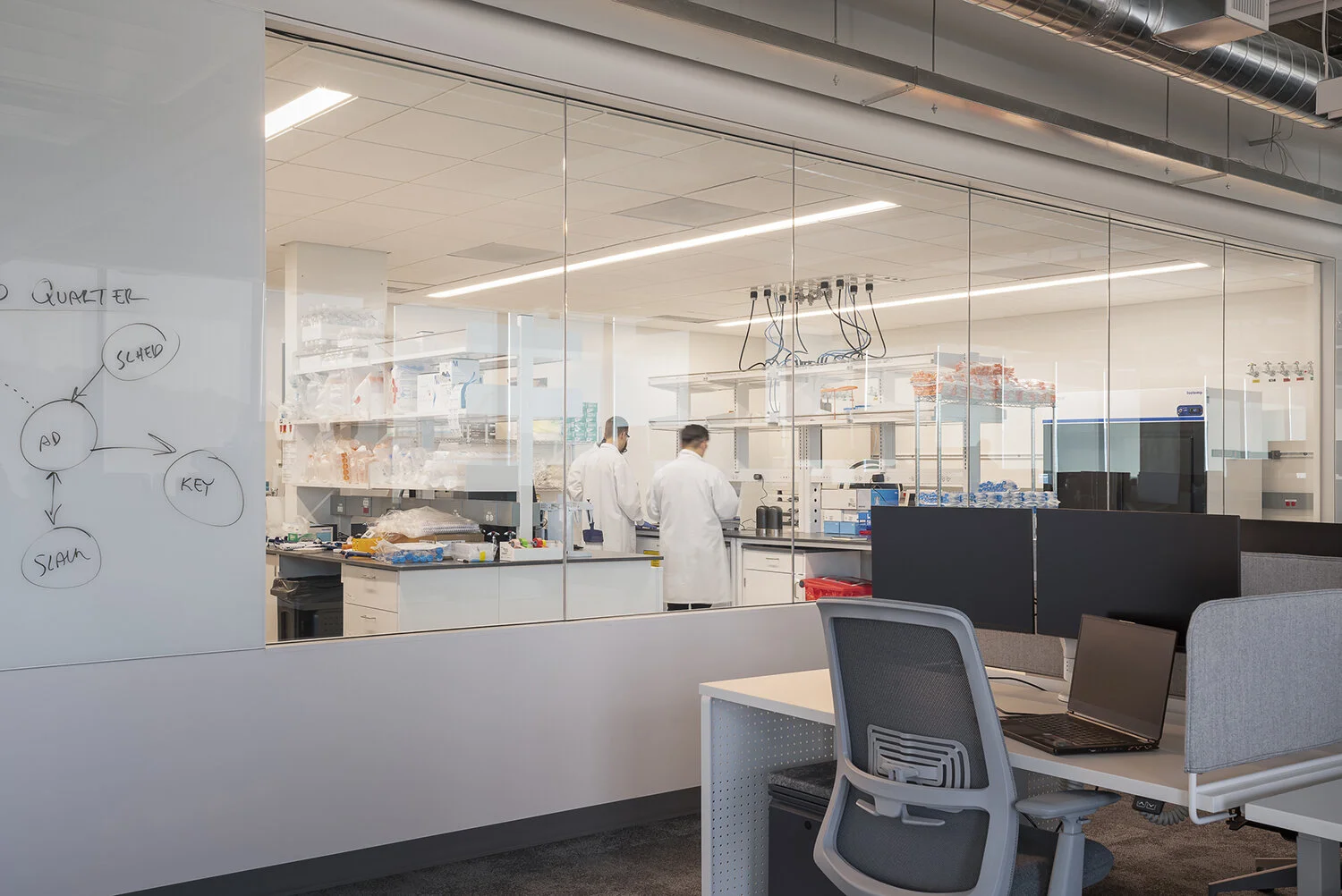 Sana Biotechnology
