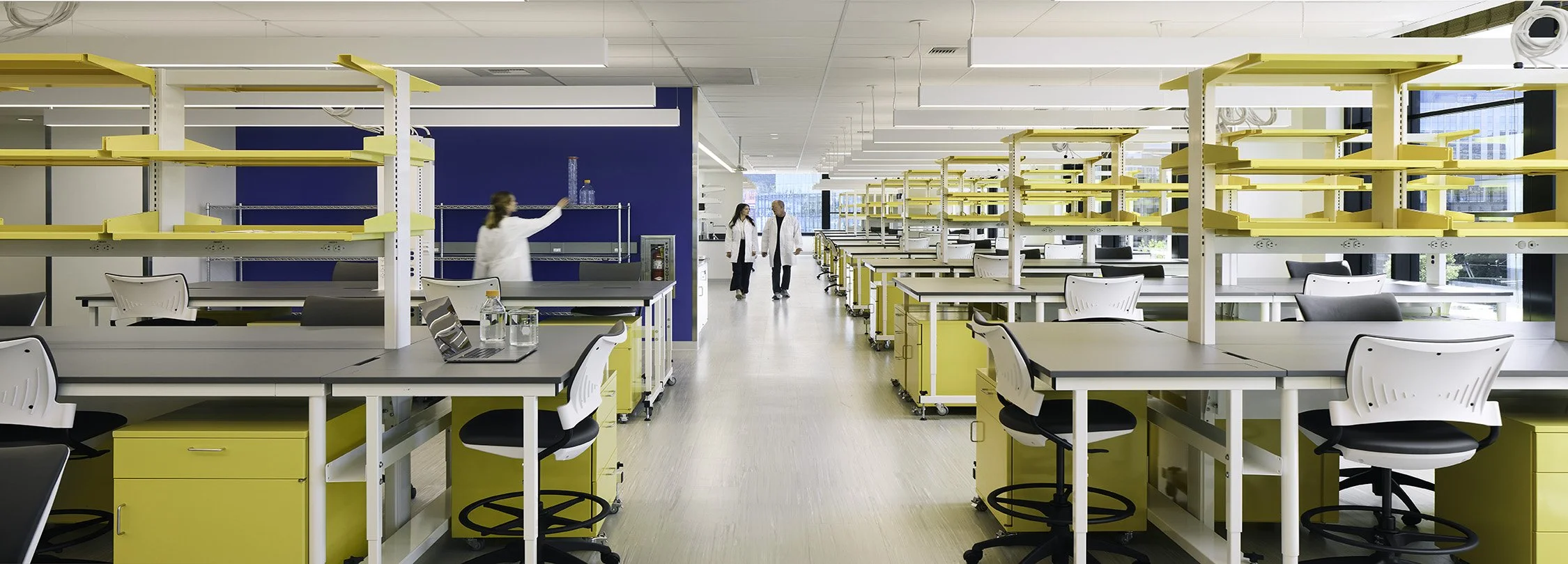 Shape lab.jpg