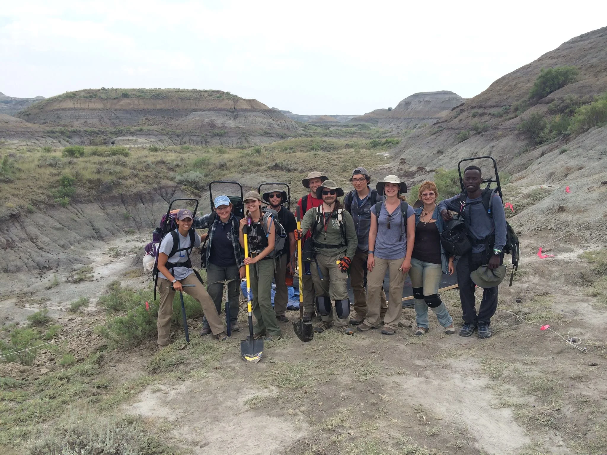 Some 475 students from summer 2015, plus me and fellow Wilson Lab grad student Alex Brannick (far left), on our way back from a day of collecting.