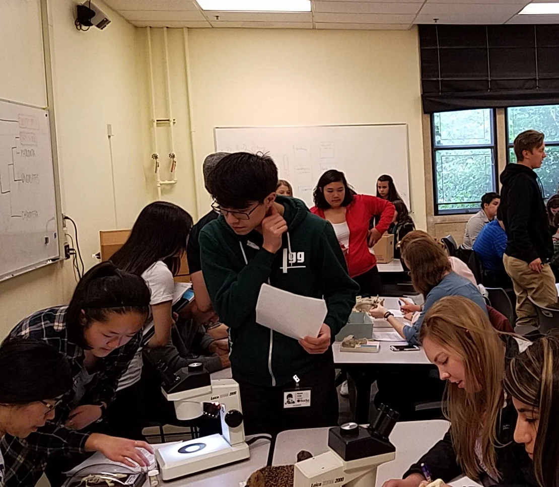 Students and peer TAs working together in the lab.