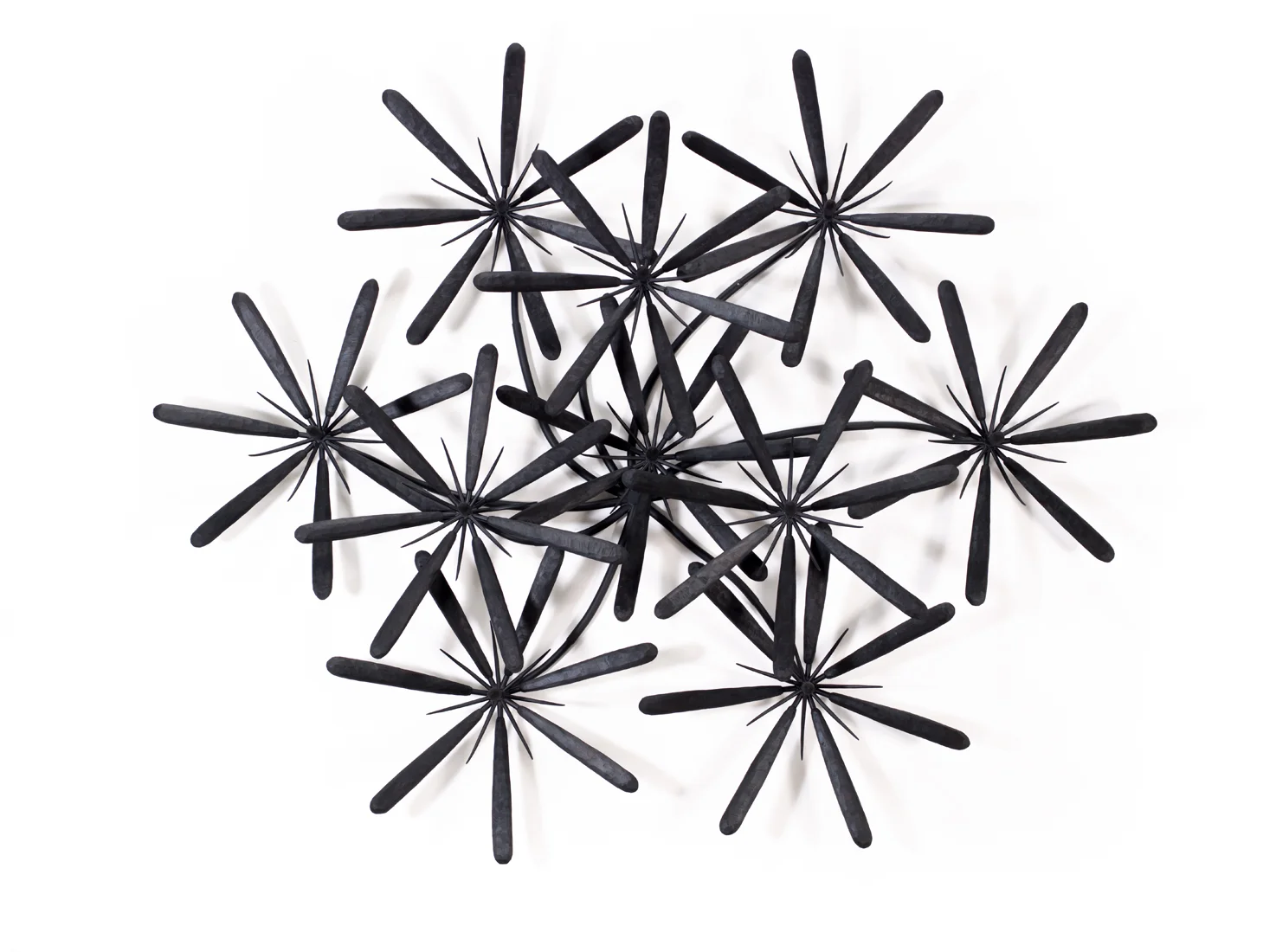 Round Tipped Black Raw Wall Flower, 2013