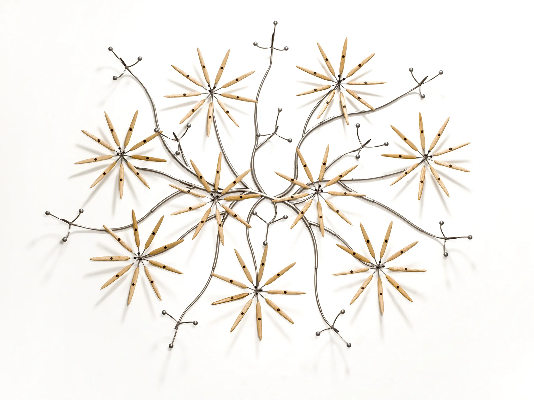 Mountain Vine, 2016