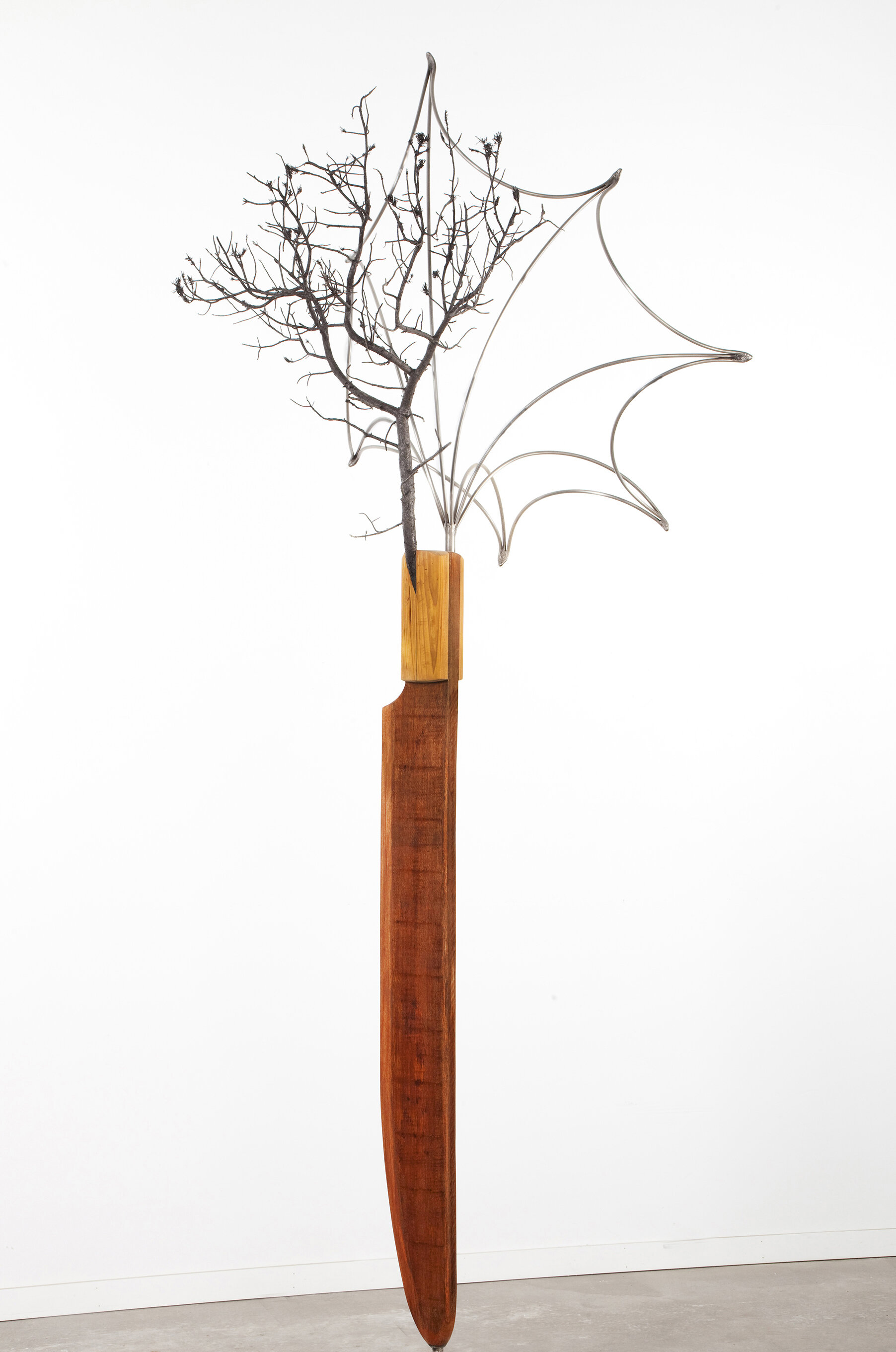 Standing Knife, Pinon and Morning Glory, 2009