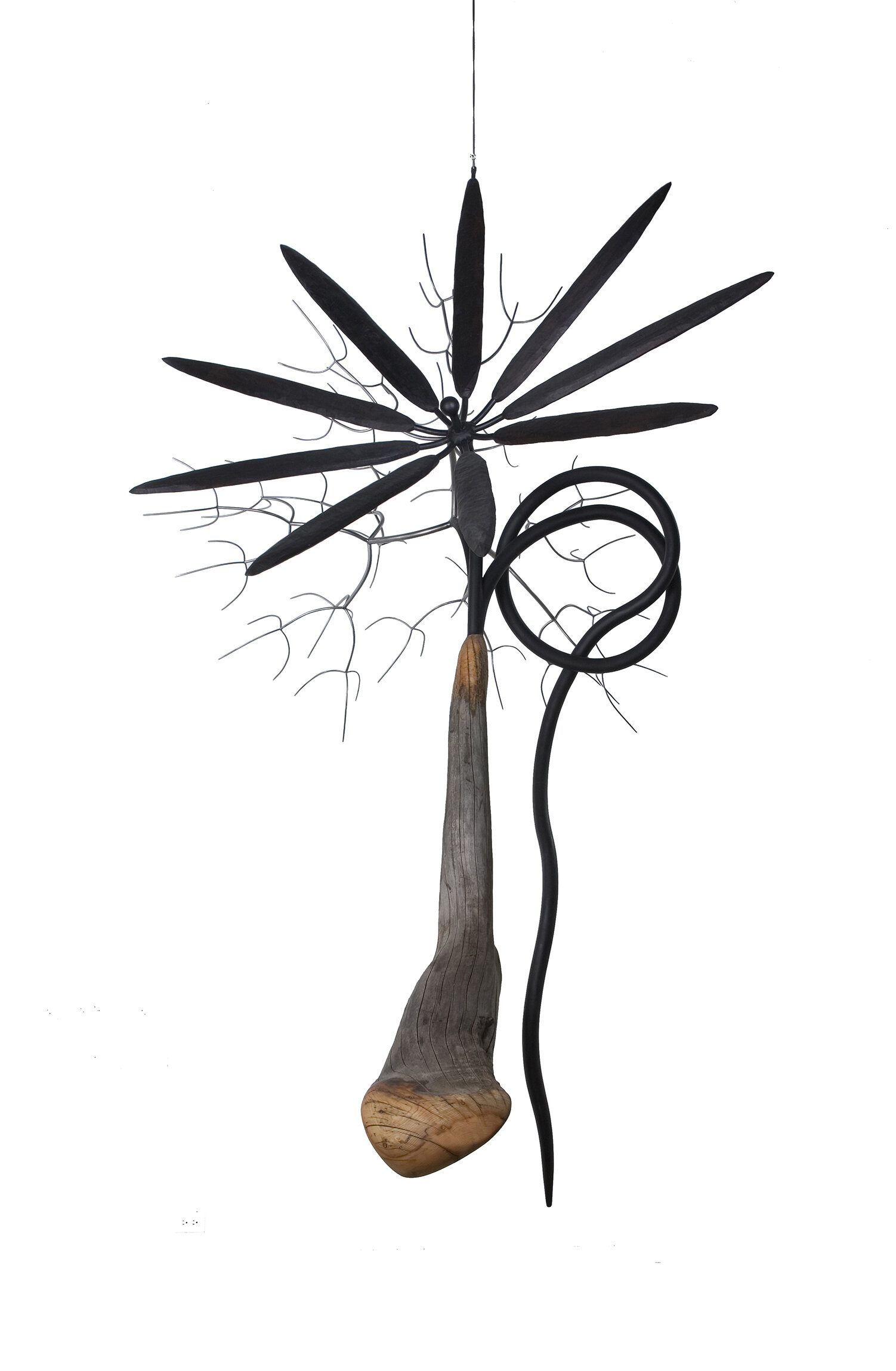 Me, Tree, Black Flower, and Knot, 2006