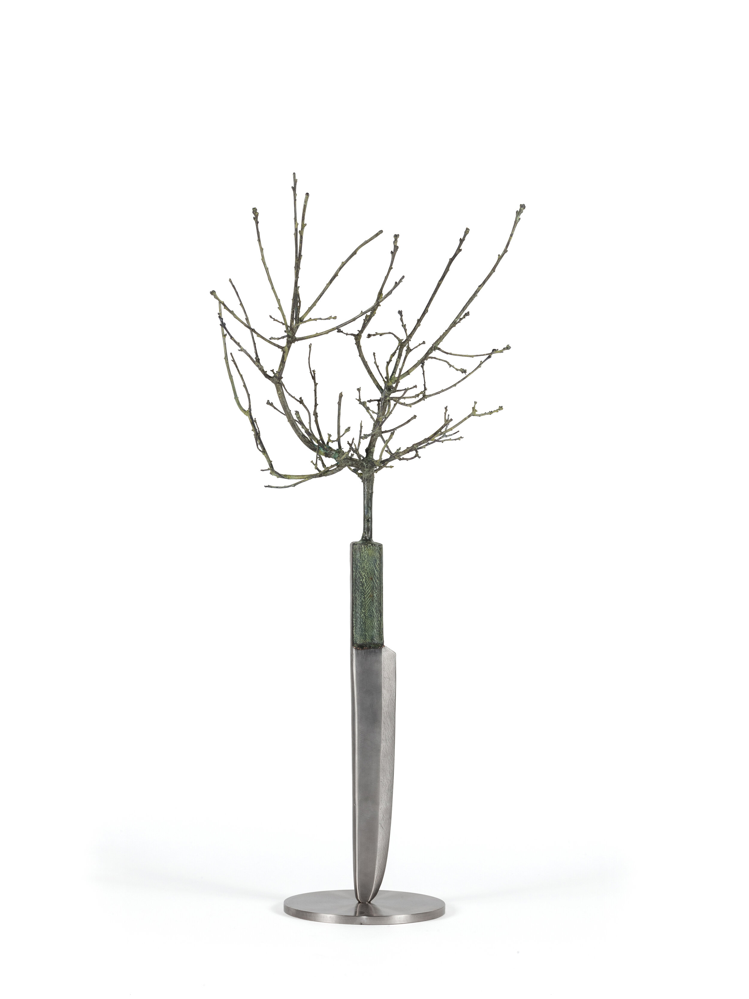 The Knife and the Oak Tree, 2016