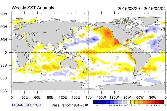West Coast Blob.jpeg