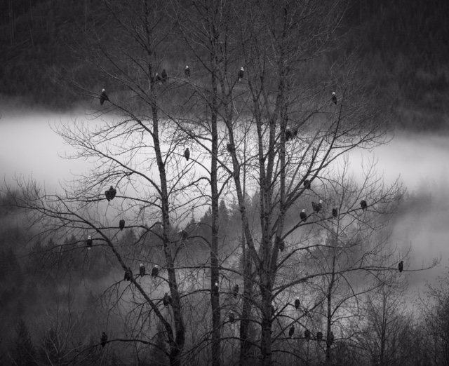 Photo credit: Audra Mercille. See more of her work at the hotel and here . 