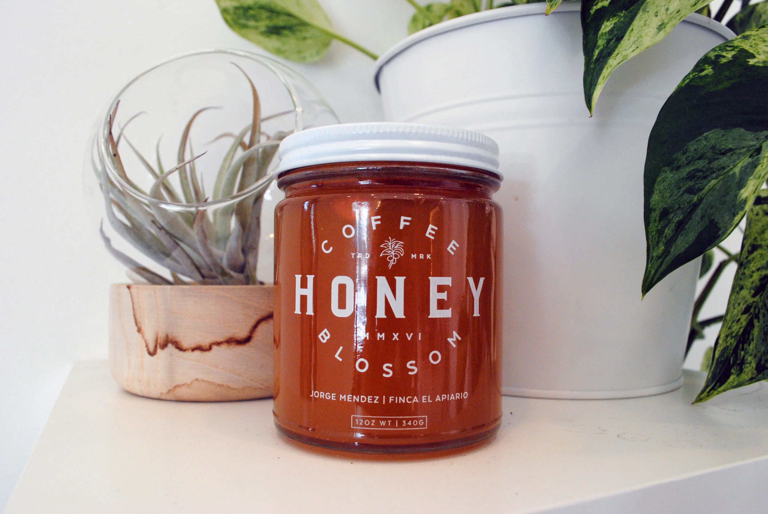 Honey Coffee Blossom.jpeg