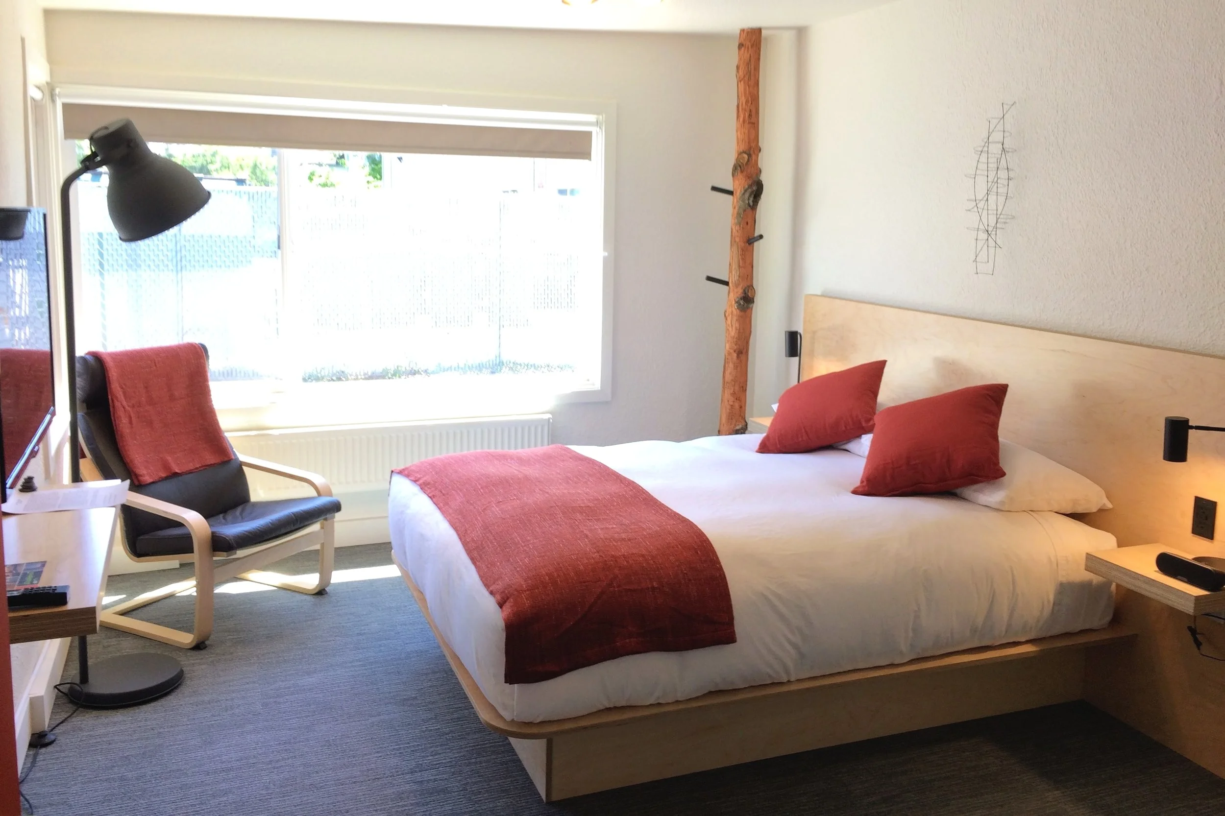 Pet Friendly Hotel Rooms Modern Hotel Motels in Bellingham — Heliotrope Hotel