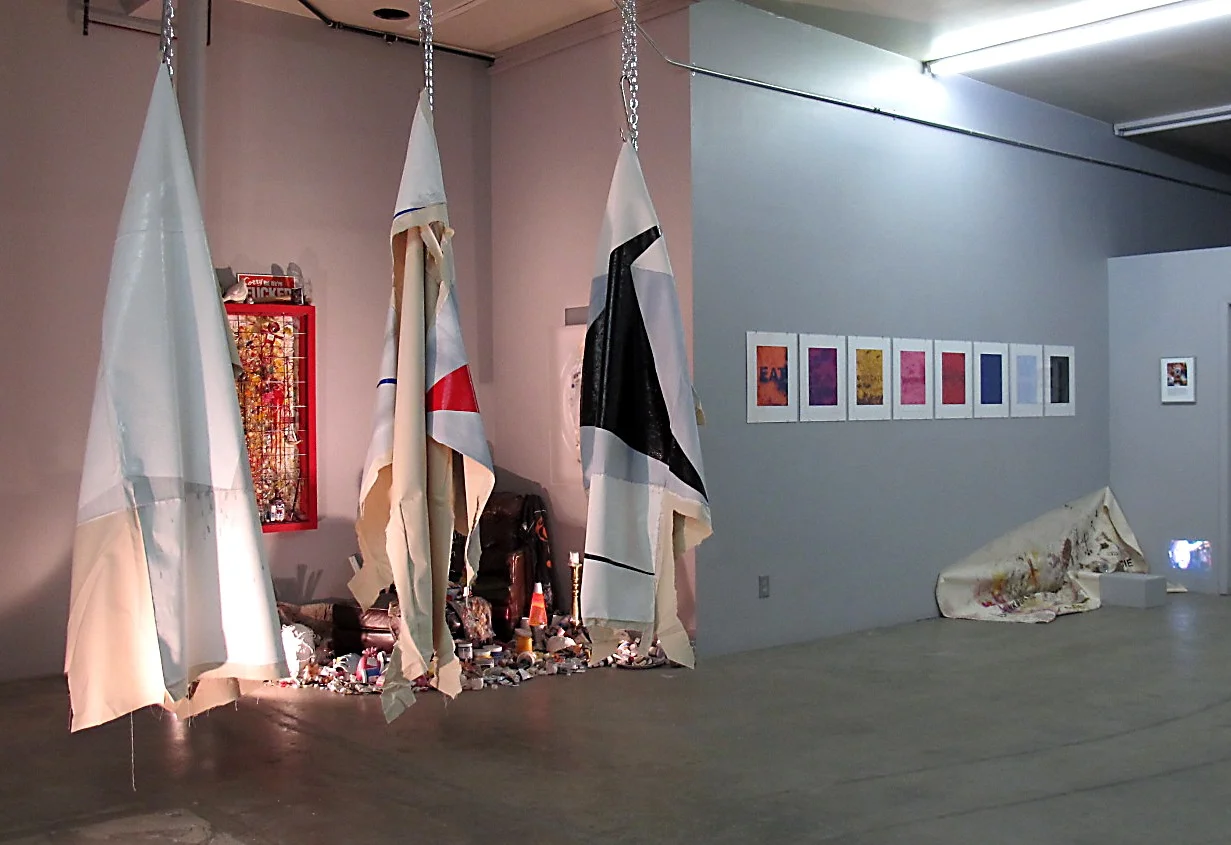the muse asylum, 2012, installation view