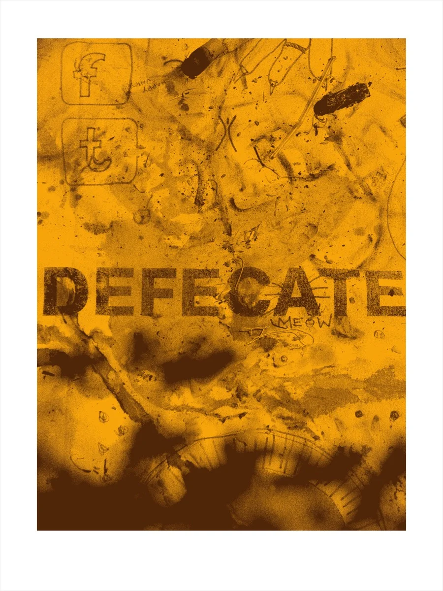 defecate (the seven deadly commonalities) 2012, archival digital print, edition of 7, 12" x 17