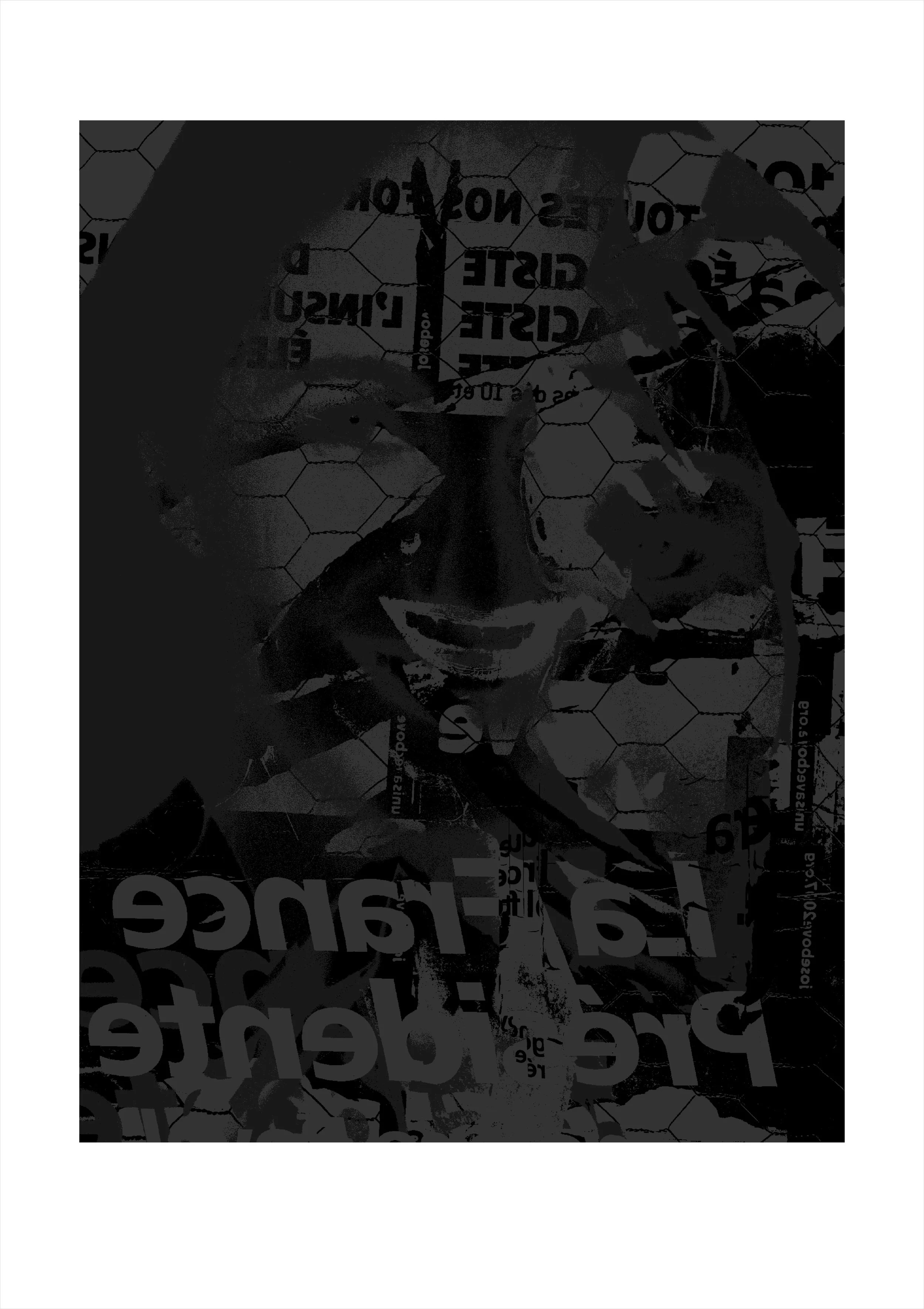 election #13, 2008, archival digital print, edition of 3, 12" x 17