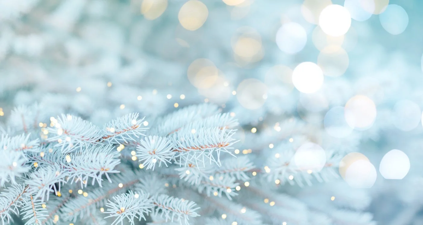 iStock-1333254904.jpg