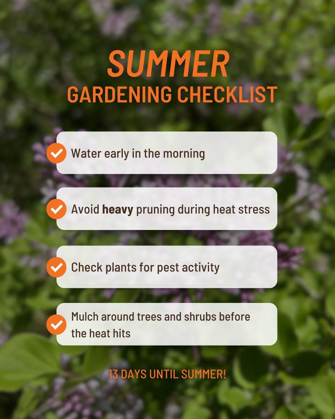 Now's the time to get ahead of your garden before the heat sets in.

💧 Water early in the morning: roots absorb more before the heat peaks, and foliage has all day to dry out, which helps prevent disease.

✂️ Hold off on heavy pruning: stressed plan