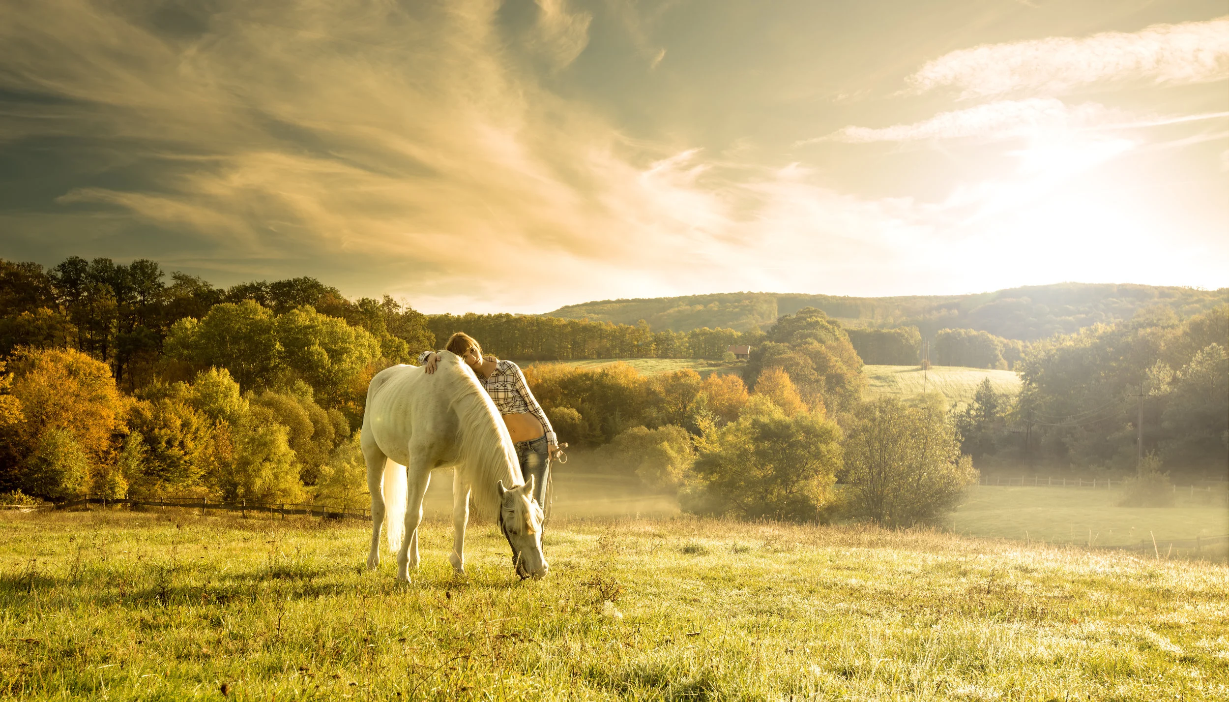 Brookefield Asset Management  shaping the identity of a global powerhouse