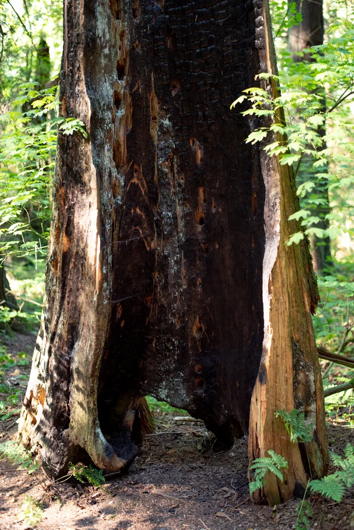 When you really look out for these, you might be surprised at how many you can find!