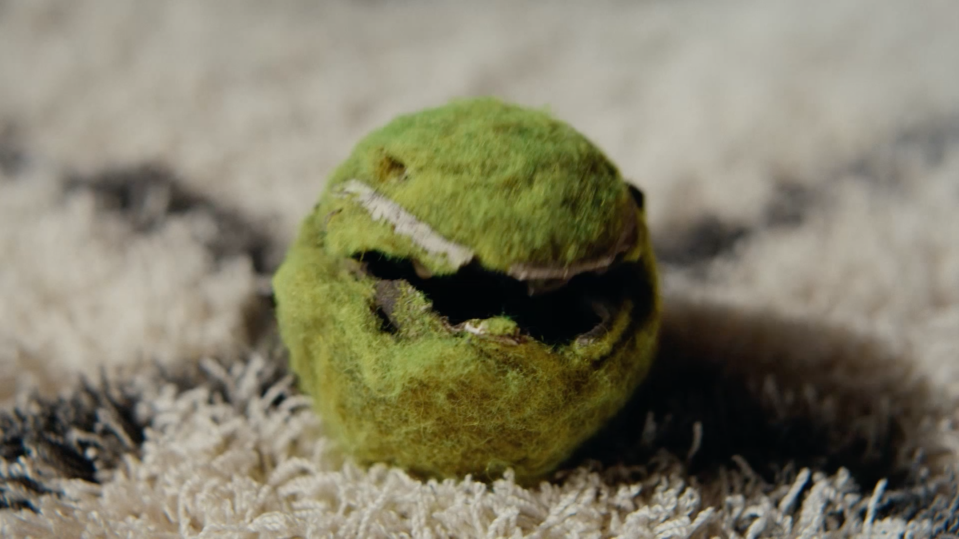 Screenshot 2024-10-24 at 10.27.13 AM.png