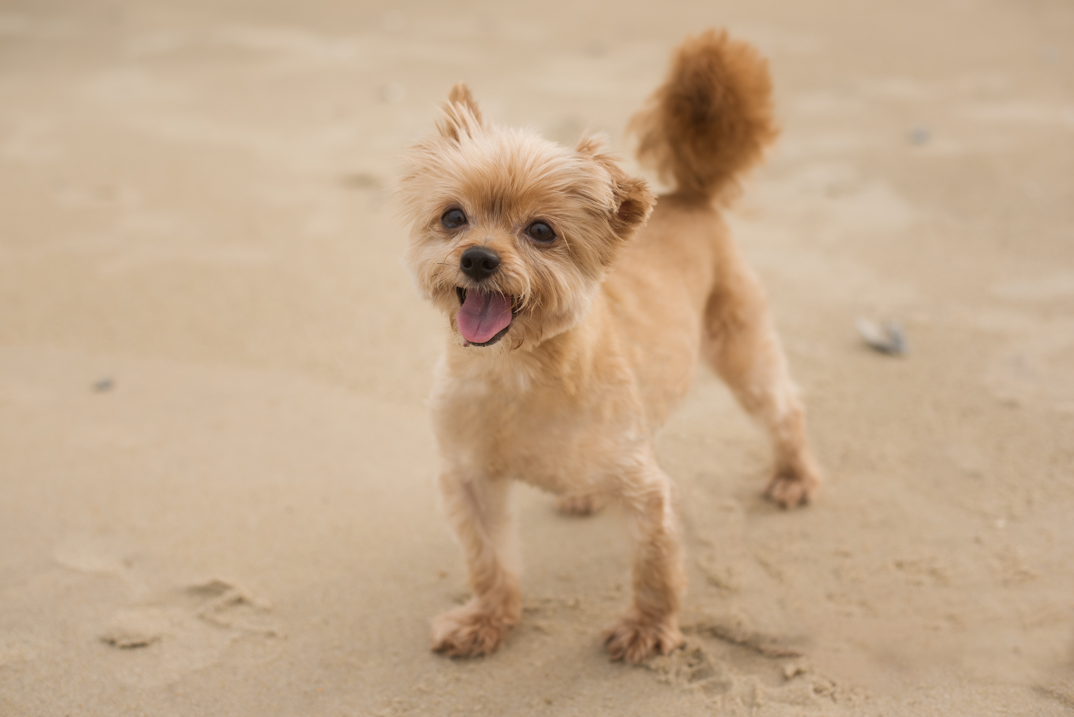 BEACH BABIES-9.jpg