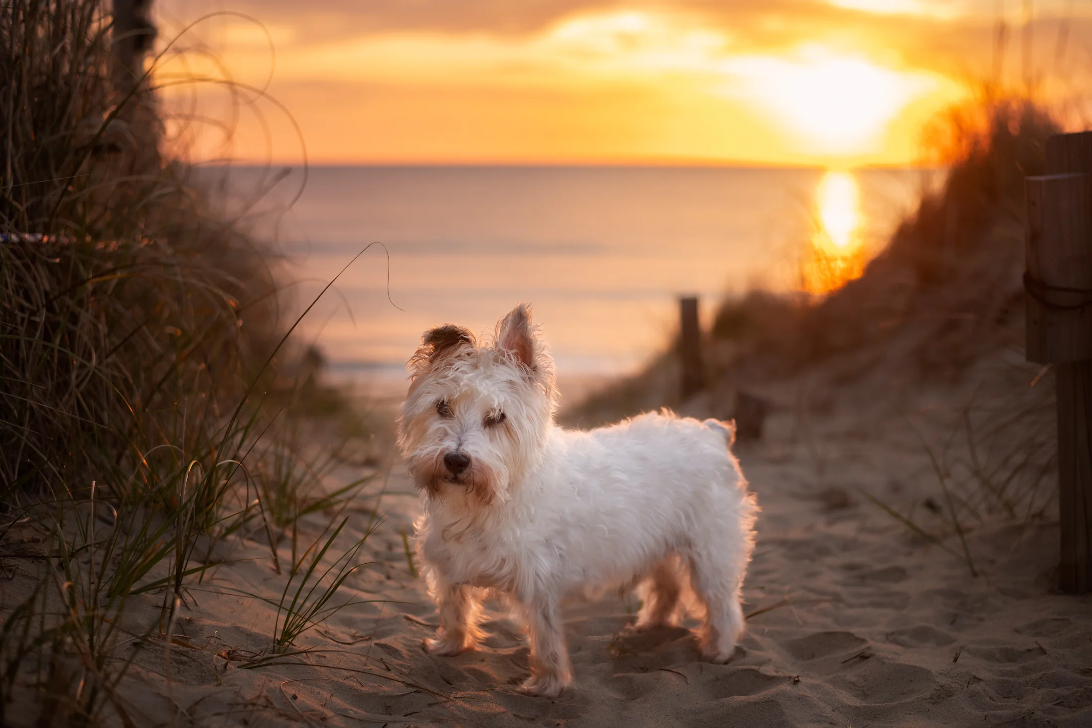 BEACH BLOG-42.jpg