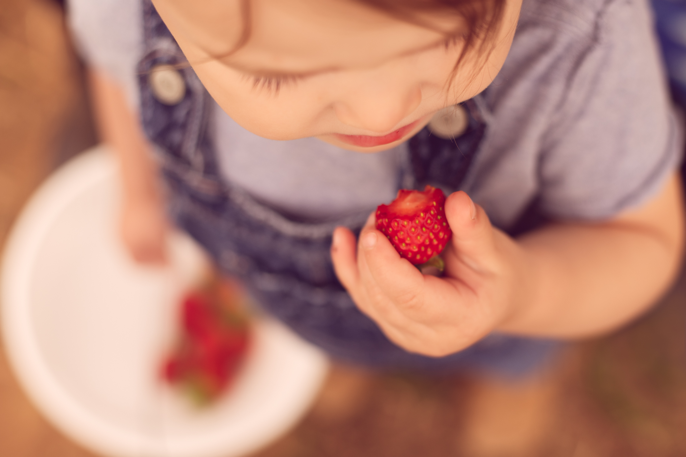 STRAWBERRY PICKING-16.jpg