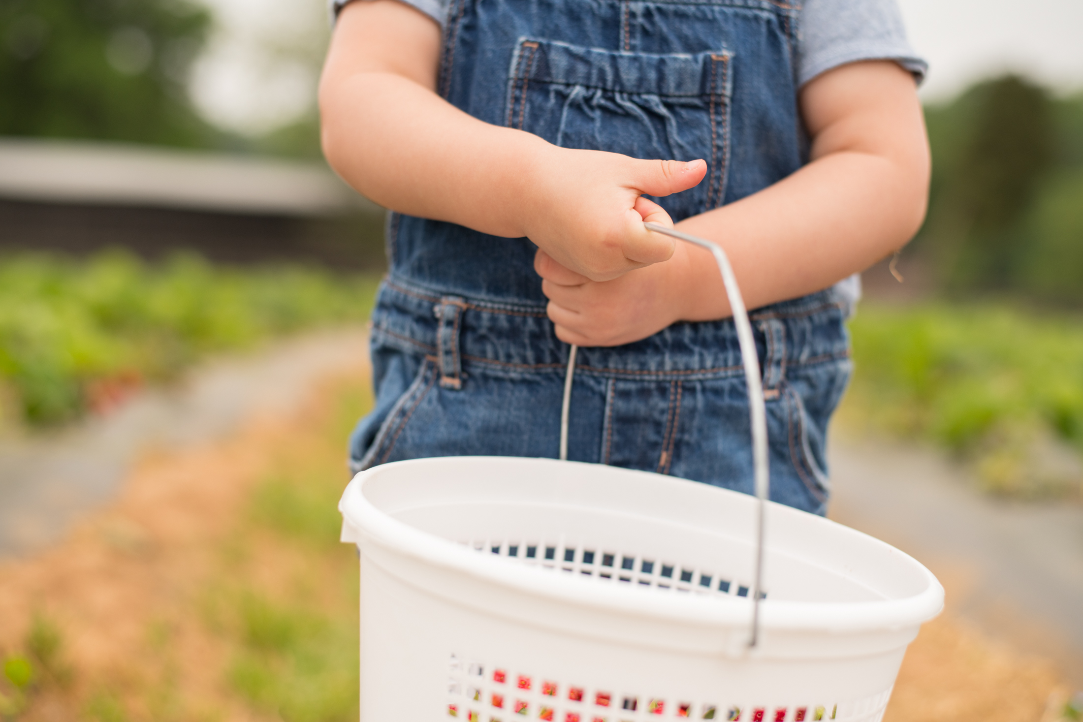 STRAWBERRY PICKING-58.jpg