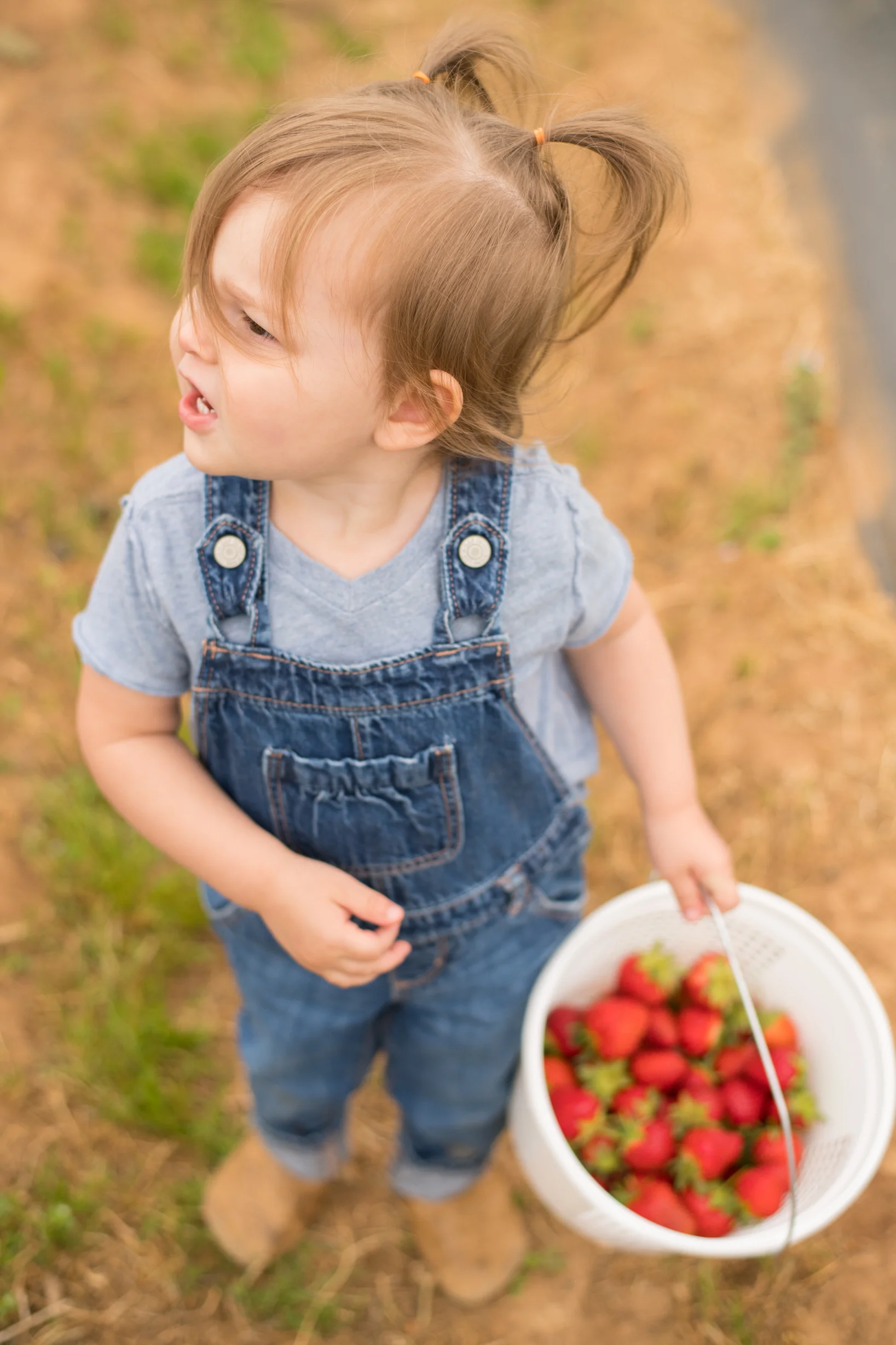STRAWBERRY PICKING-59.jpg