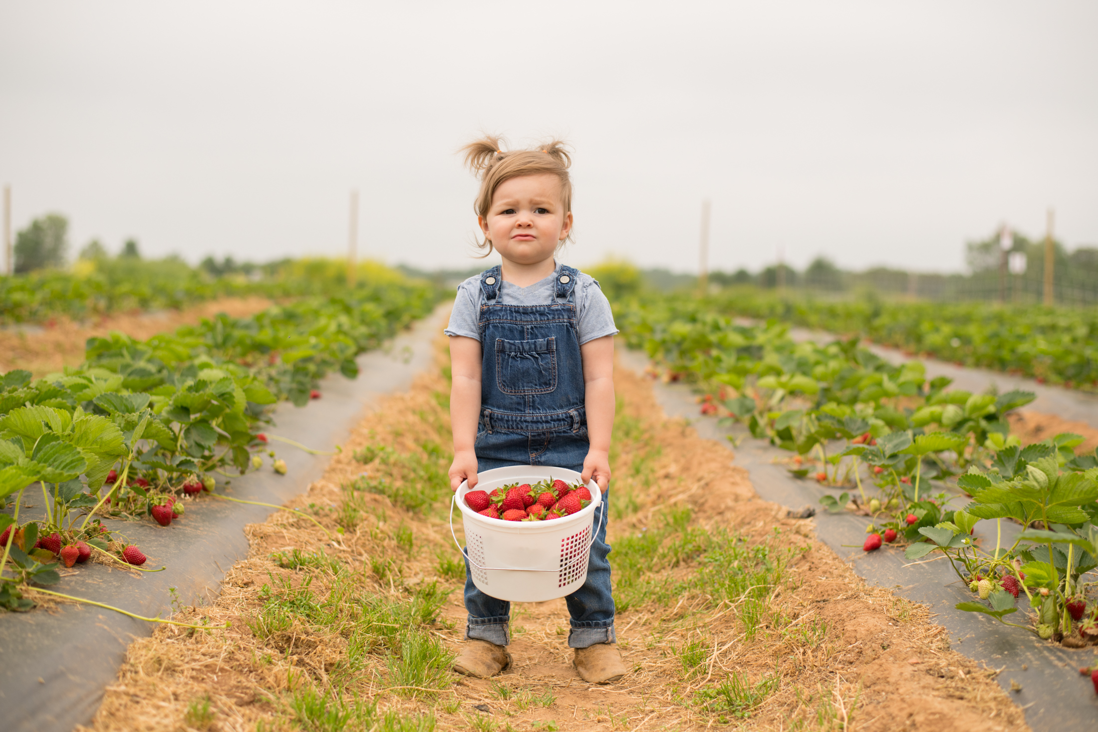 STRAWBERRY PICKING-74.jpg