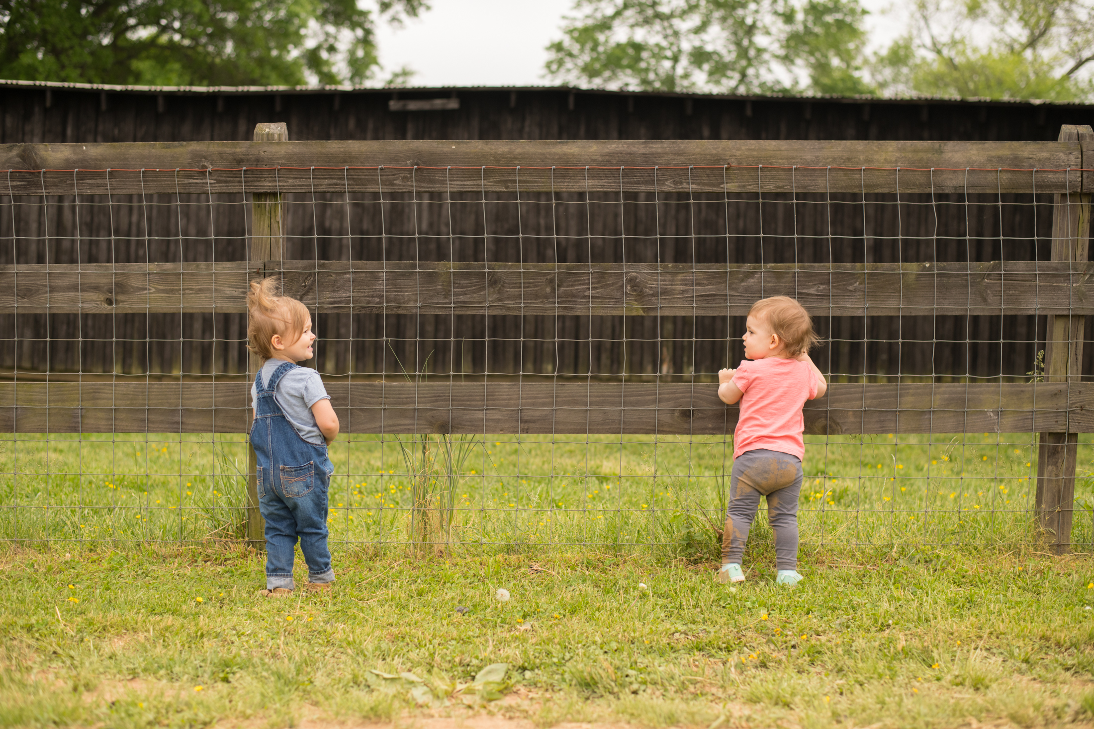 STRAWBERRY PICKING-89.jpg