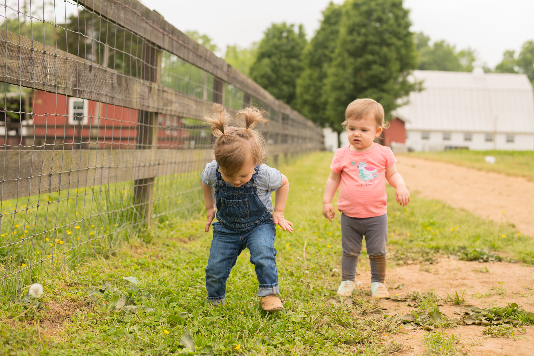 STRAWBERRY PICKING-117.jpg