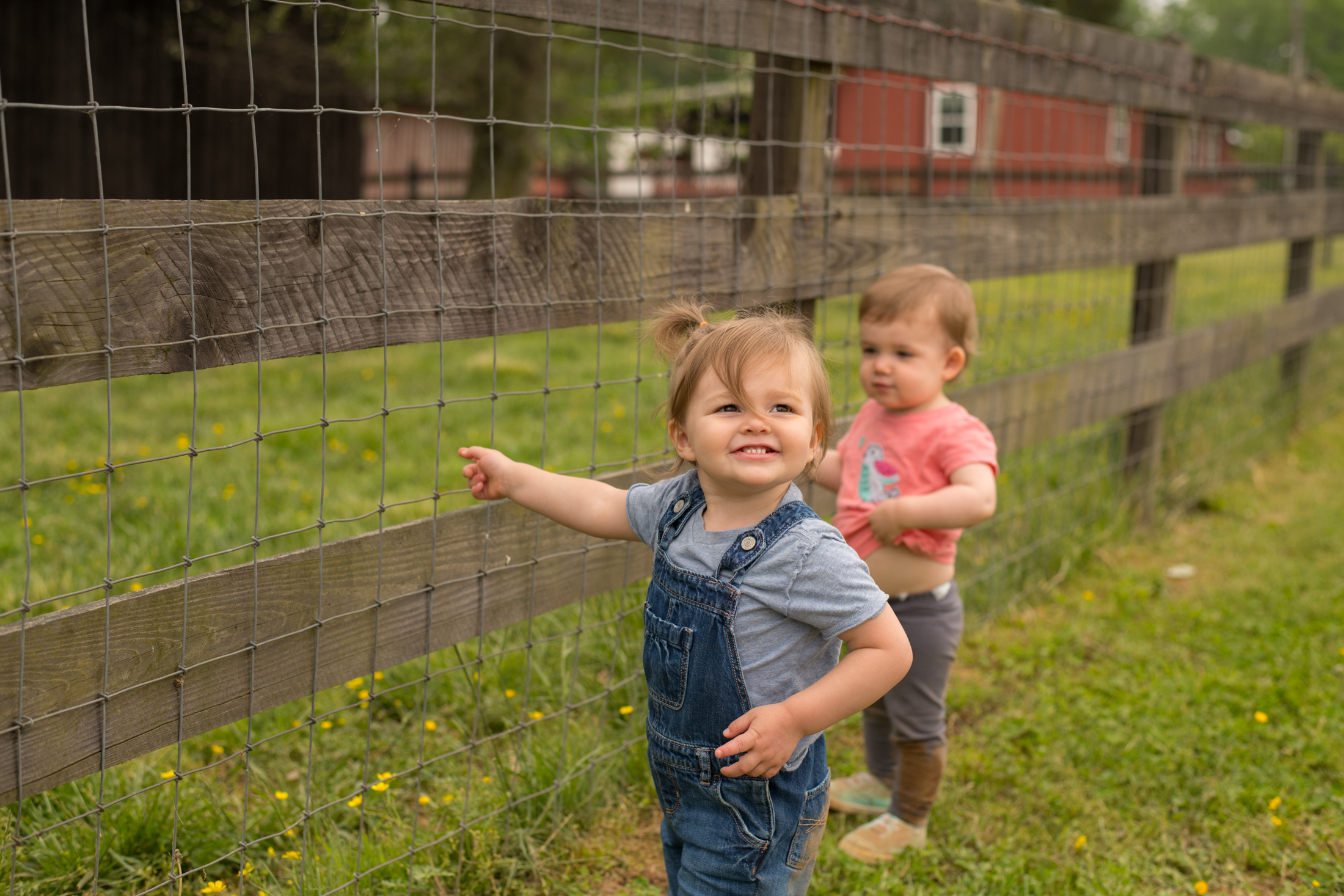 STRAWBERRY PICKING-130.jpg