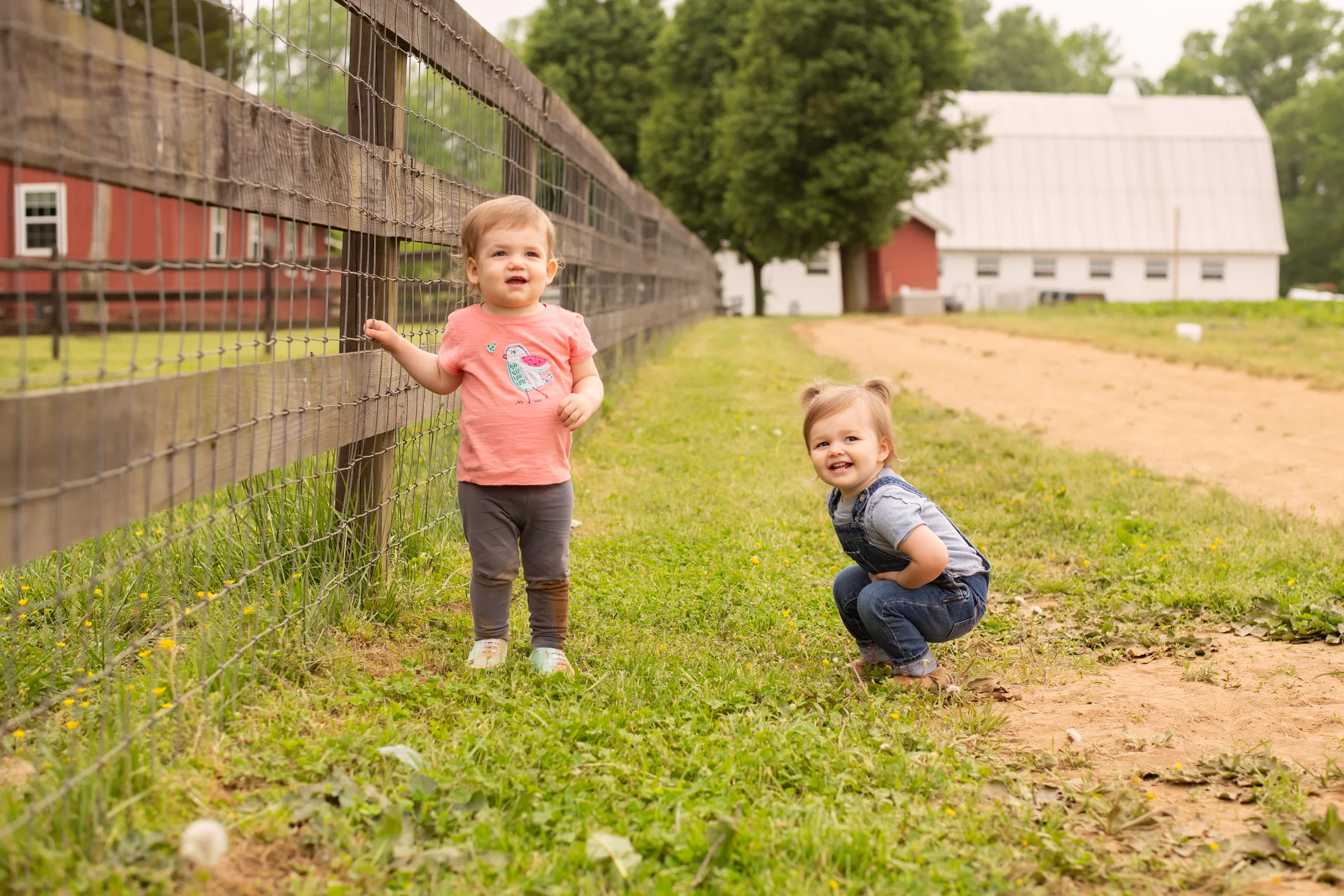 STRAWBERRY PICKING-125.jpg