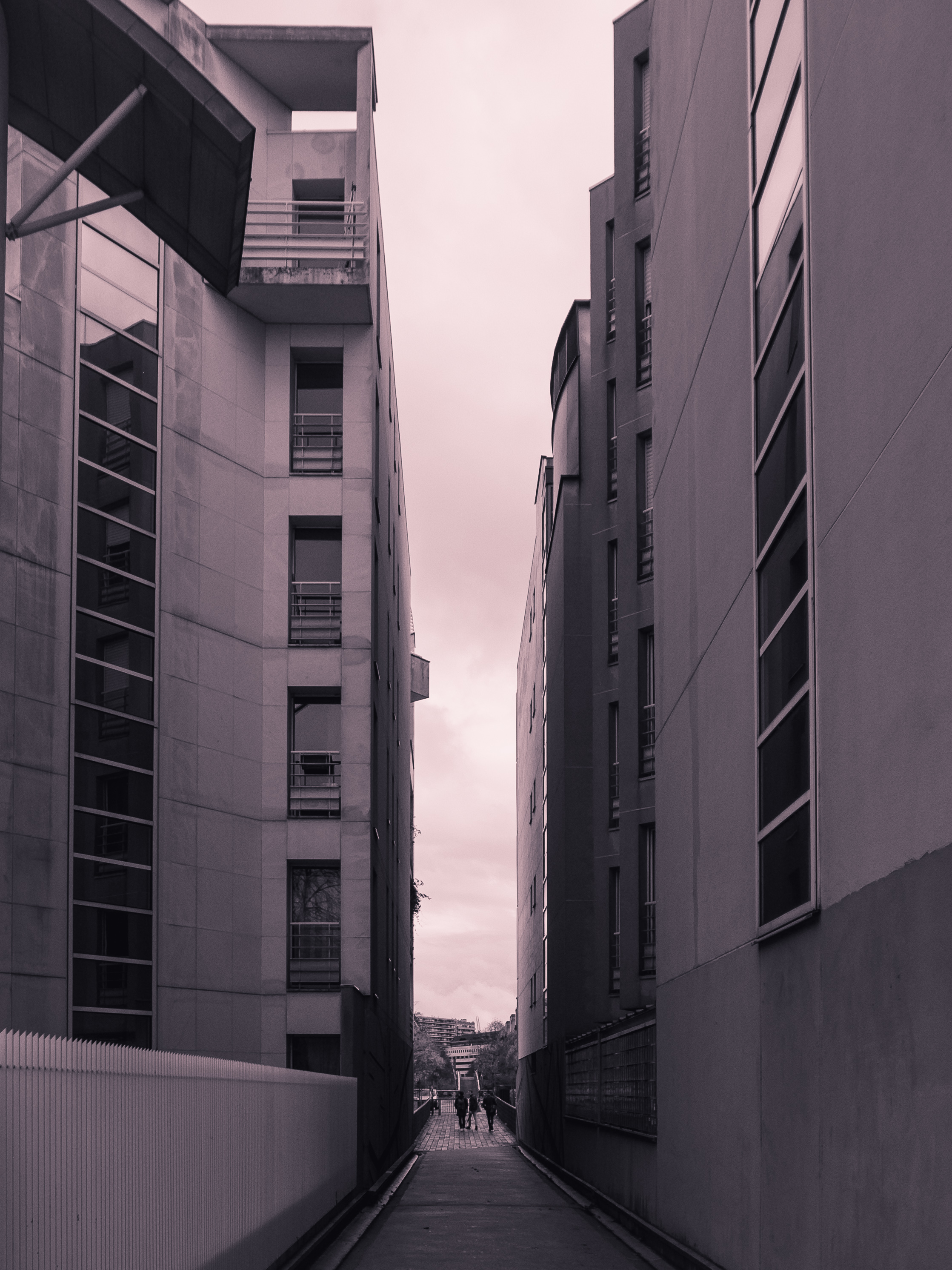 R0014790.jpg