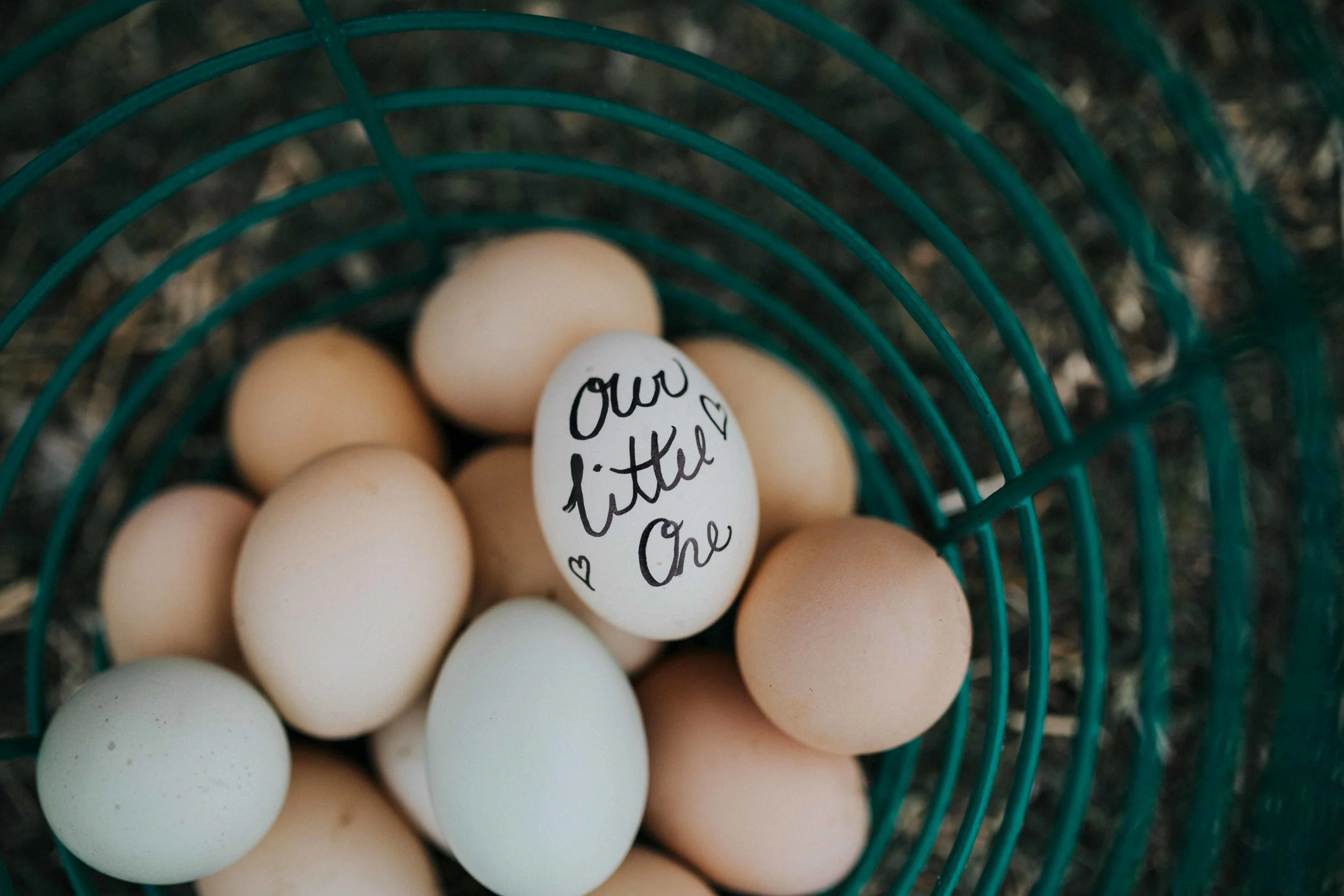 Kevin + Candas are on their next step in their journey. First comes love, then 34 ducks, 2 goats, 1 horse, 15 weird looking turkey things, and now they are having one of their very own. Hahah. I am beyond happy for them. I can't wait to see their bundle of joy in a few short weeks. 