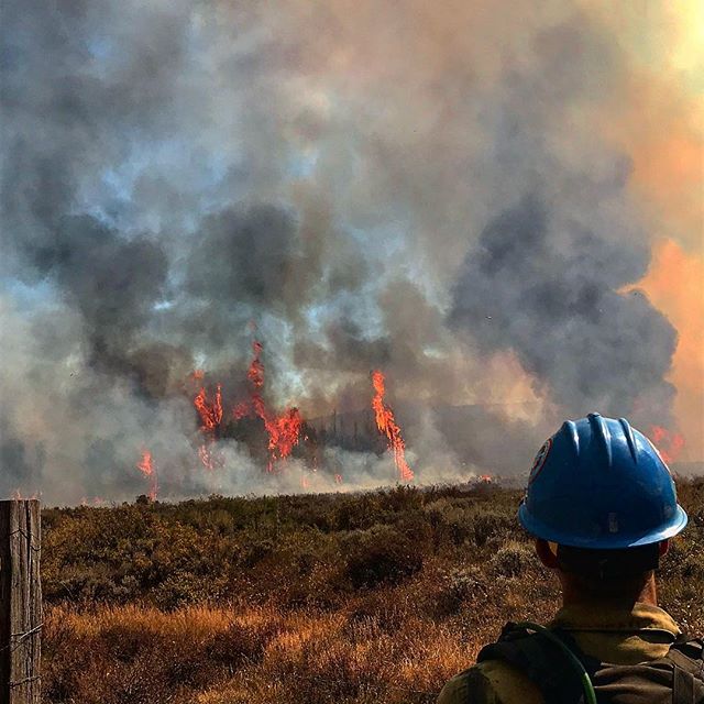 Views #wildfire #wildlandfirefighter #viewsfromwork #colorado #firefighter