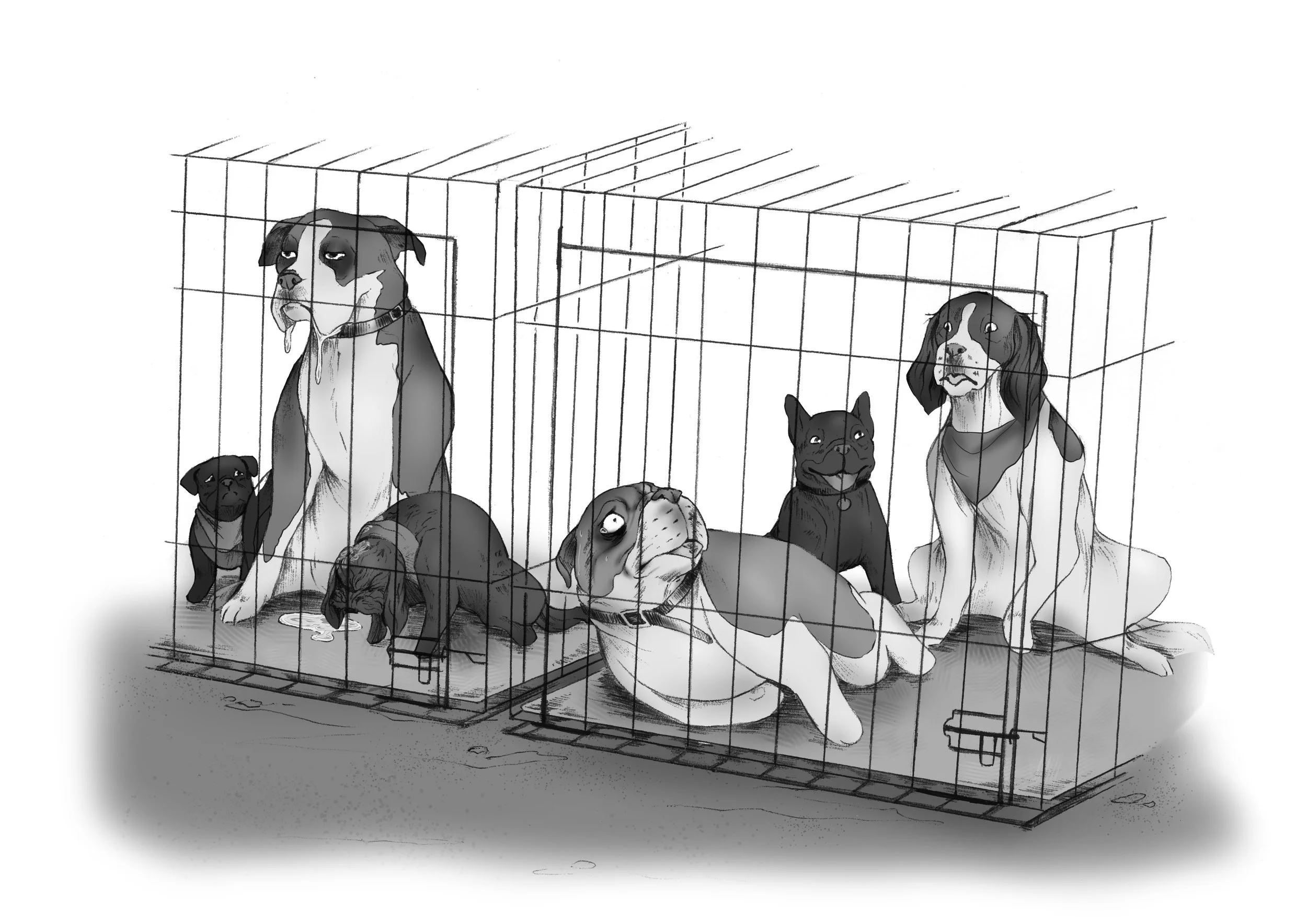 Chap7.jpg