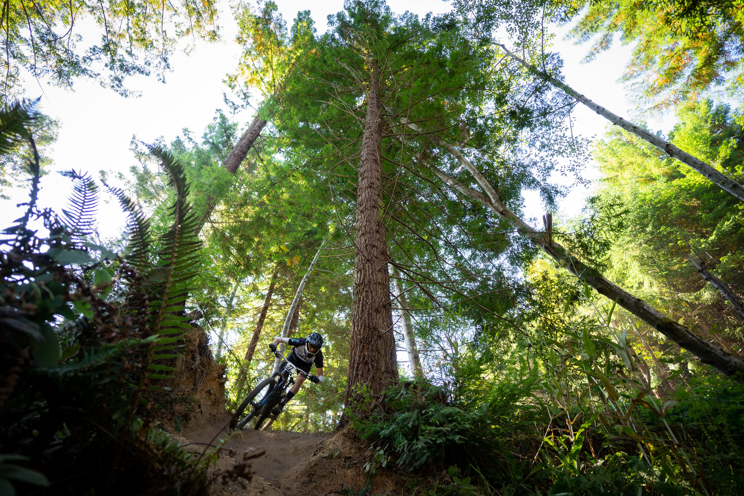 CUSTOM YETI — Redwood Coast Mountain Bike Association