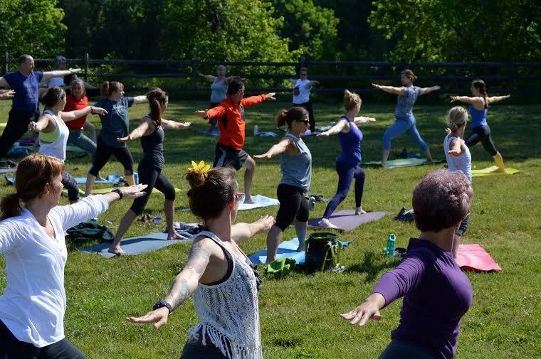Yoga Buzz