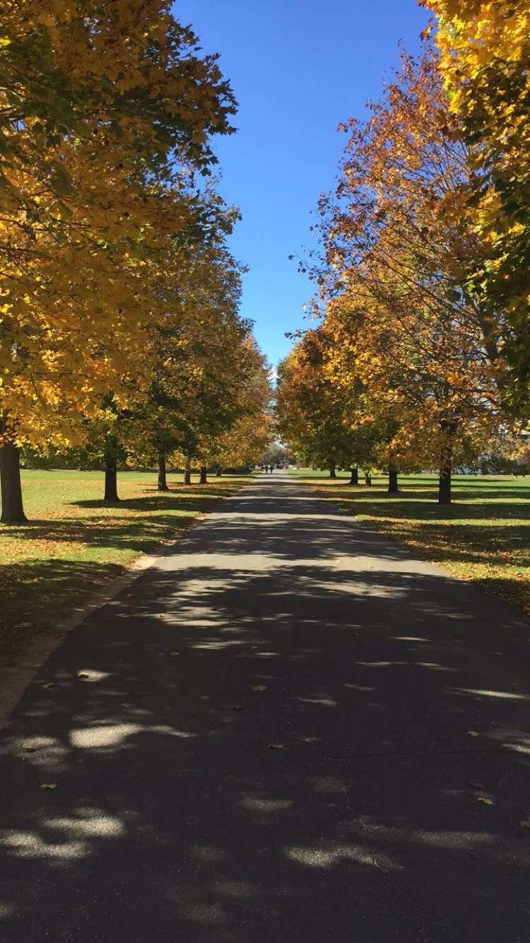 Caumsette State Park