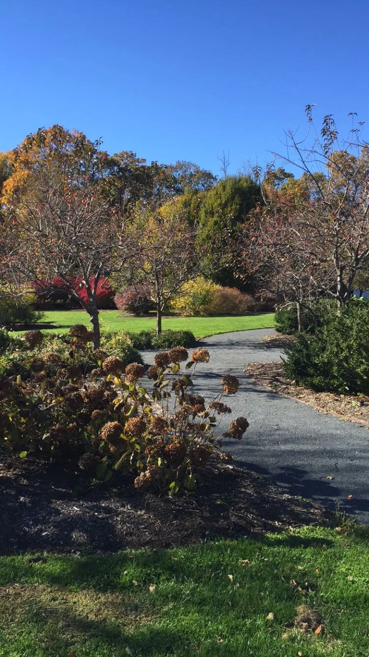 Caumsette State Park